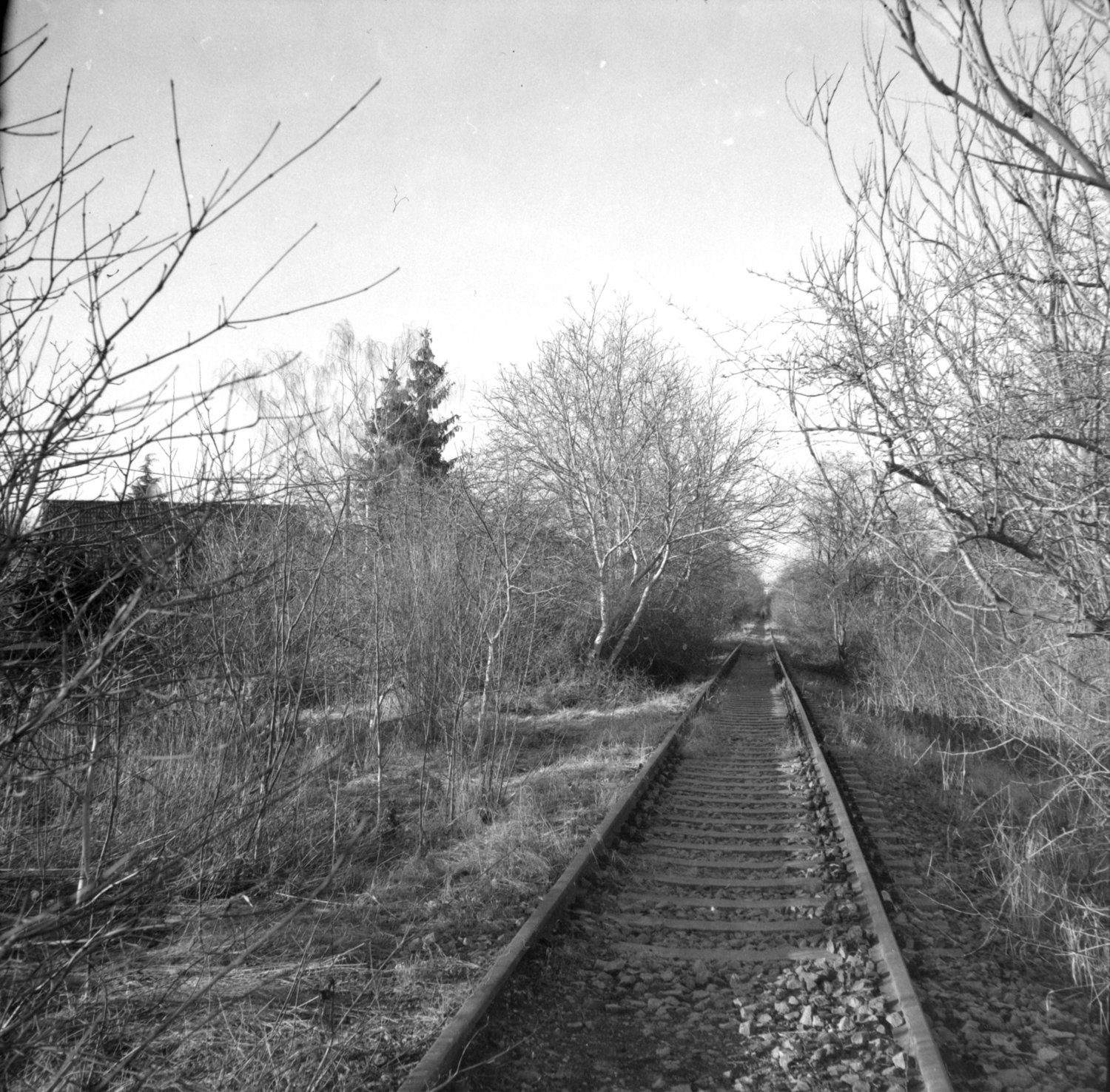 Stillgelegtes Gleis der ehemaligen Kleinbahn Nottleben, Ortseingang Marbach.