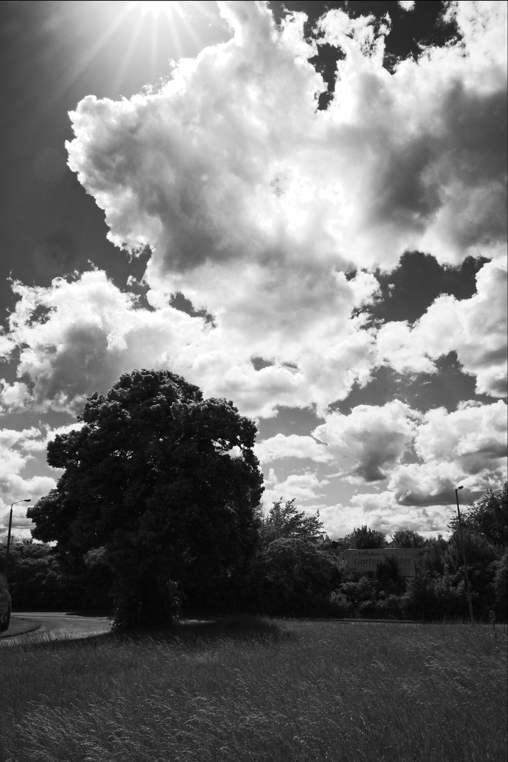 Der beeindruckende Kontrast zwischen Sonne, Wolken und dem Schatten unter dem groÃŸem Baum.