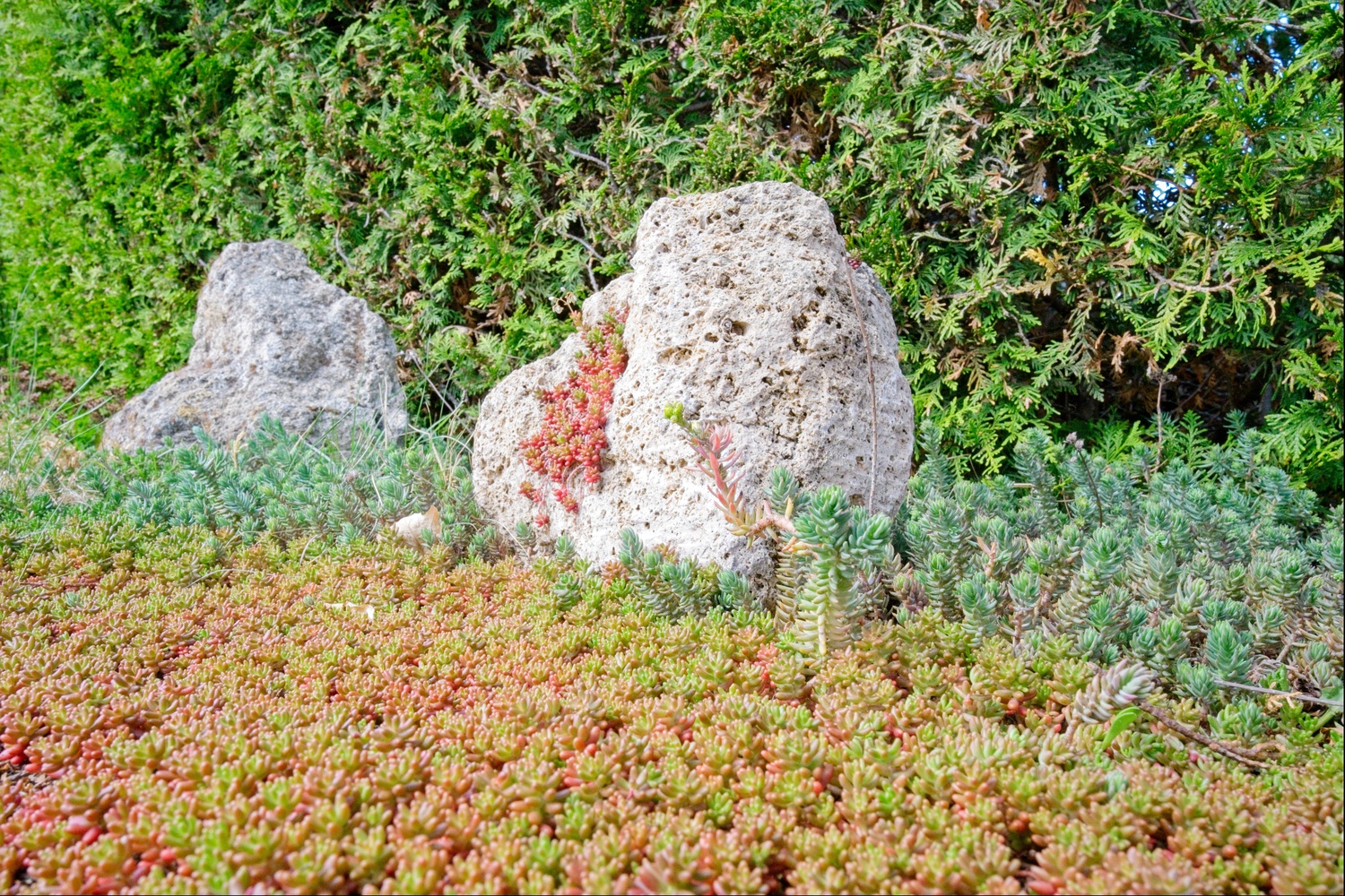 Mit den Steinen wirkt die Szene wie eine kleine Landschaft.